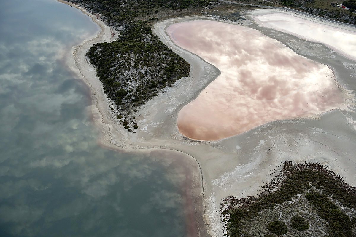 A body of water with pink and white water.